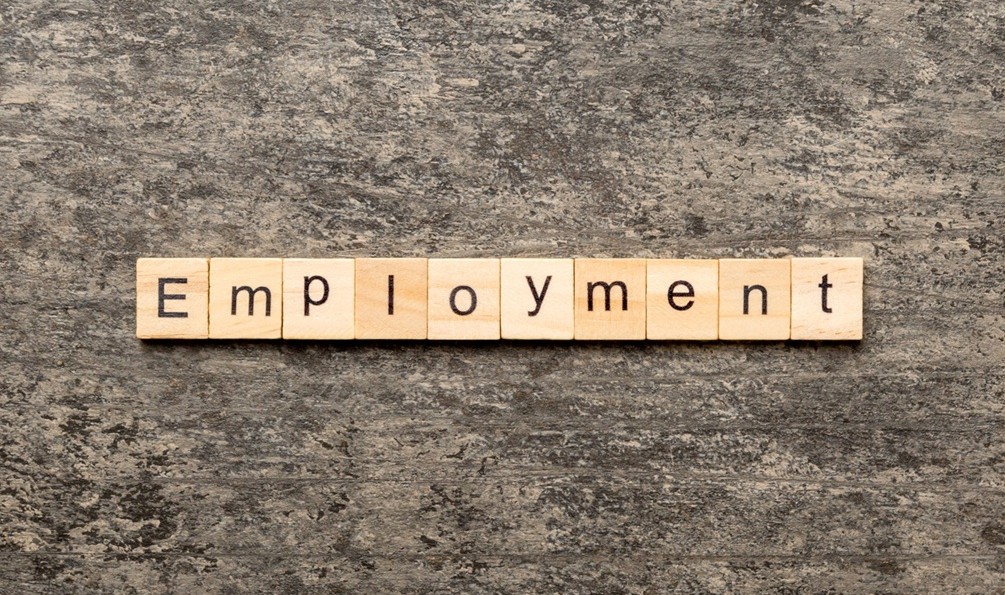 The Dual Status Of Public Officers In Private Employment.